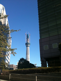東京スカイツリー アサヒビール本社の脇から撮影