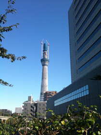 東京スカイツリー 墨田区役所の脇から撮影